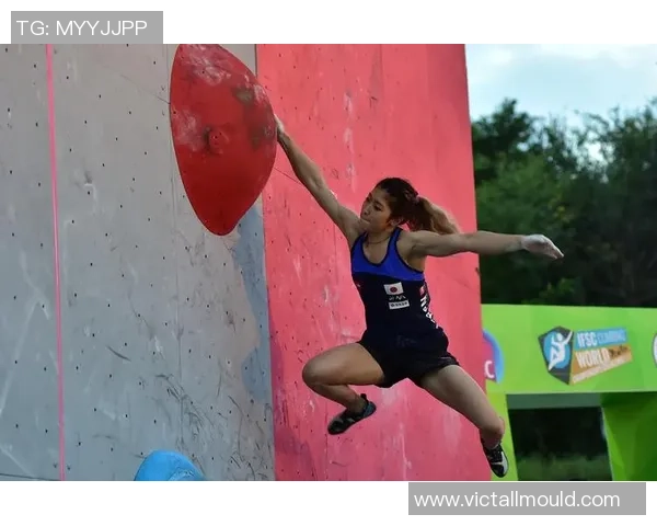 攀岩战术排行榜揭晓北京攀岩队荣获第四名佳绩